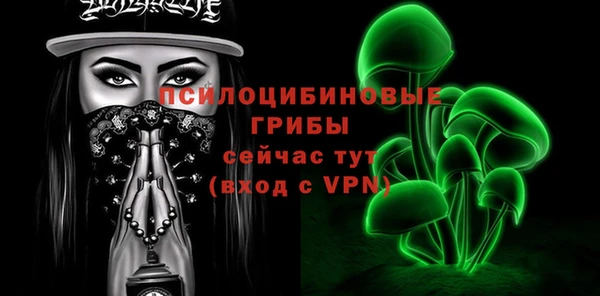 СК Дрезна